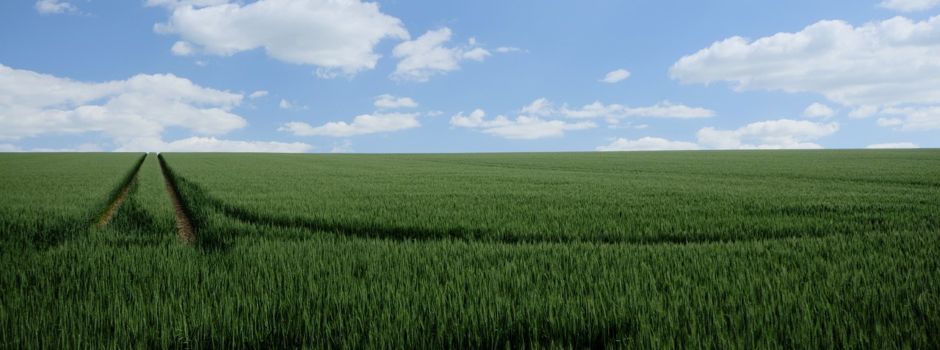 Betretungsverbot des Feuchtwiesengebietes in Niddatal-Ilbenstadt „Niederwiesen“ ist in der Zeit vom 01.02.2024 bis 31.07