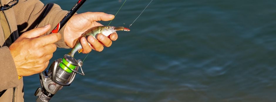 Fischereirecht zu verpachten