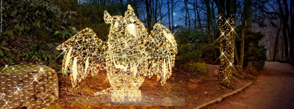 Welt voller Licht und Magie mit Elfen, Waldgeistern und LED-Show