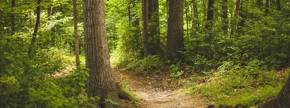 Mitmachen beim 1. Bärmesenser Päädellauf