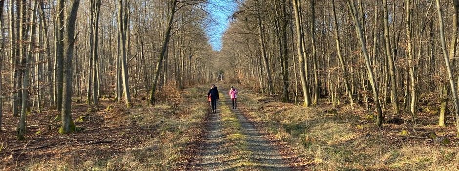 Wandern, Fahrrad und Ski beim SVS