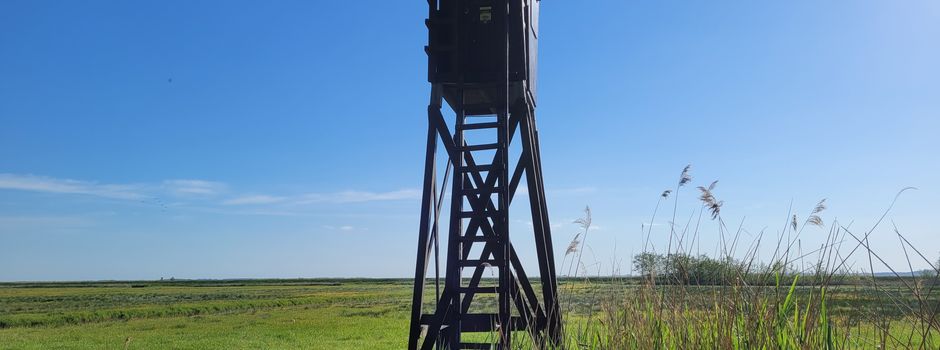 Infos aus der Gemeindevertretung