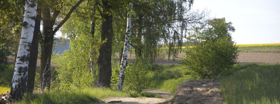 Wandern in Hirschau