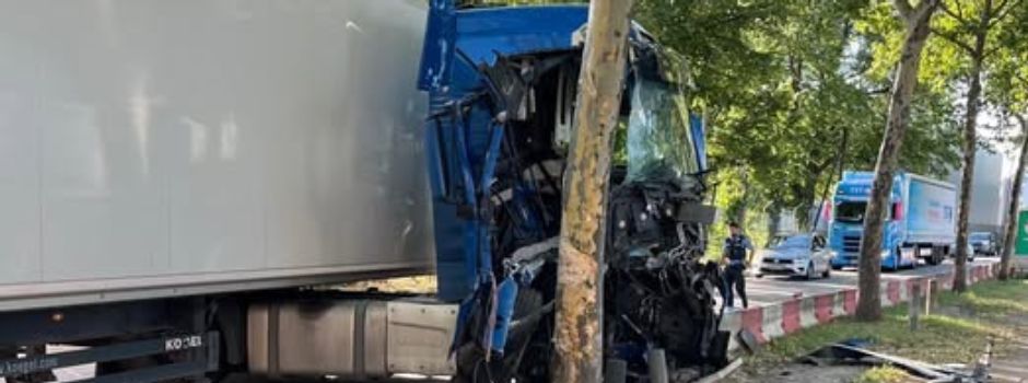 Lkw kracht in Baum: Hafenstraße in Worms zeitweise voll gesperrt