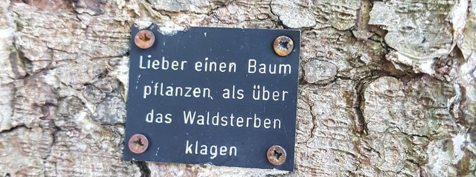 Aufruf zur Teilnahme an der Baumpflanzaktion 2025