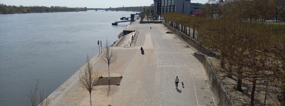 Mann (50) am Mainzer Rheinufer zusammengeschlagen