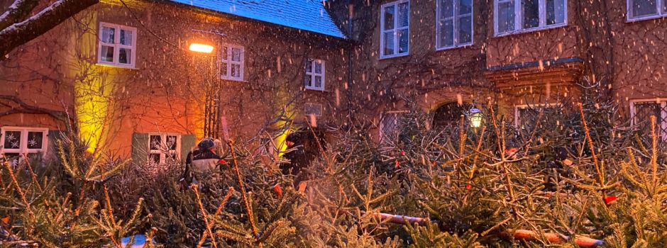 Frisch und regional: Weihnachtsbaumverkauf in Augsburg