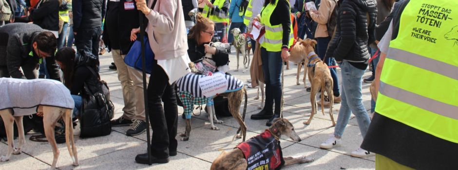 Hunderte Hunde auf Demo in Mainz