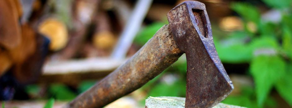 Eiche in Winnenberg gefällt