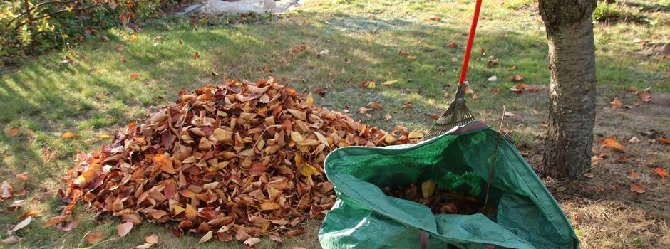 NABU Heidekreis möchte „Krachmachern“ zeigen, was eine Harke ist