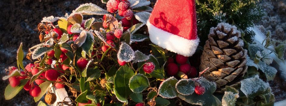 Herzliche Einladung zur Adventsausstellung im Blütenzauber
