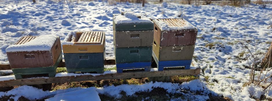 Vandalismus am Bienenstand