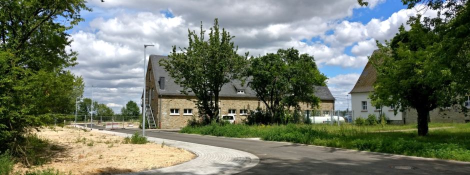 Freilaufende Hunde an Mainzer Kita: Wieso hier keine Leinenpflicht gilt