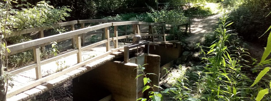 Deprimierend: Die Staubrücke „oberste Fahr“ verfällt - keiner fühlt sich verantwortlich