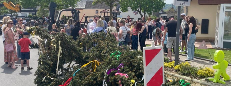Rückblick: Maibaumstellen 2024