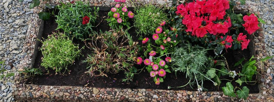 Blumenkübel  wurde bepflanzt