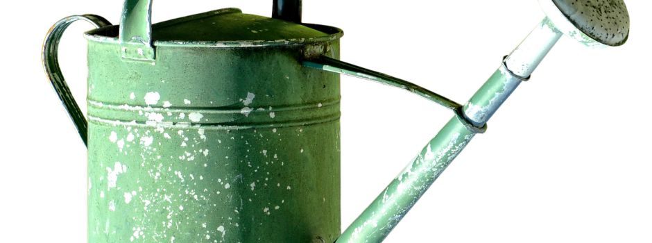 Wasser auf dem Friedhof ab KW 14 wieder angestellt