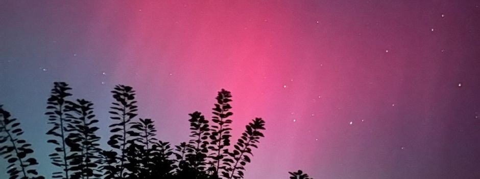 Polarlichter über Brodersby