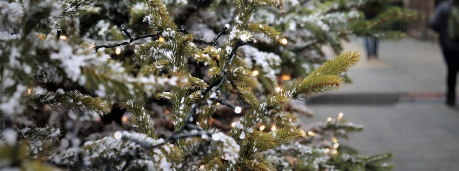 Wann die Weihnachtsbäume in Worms eingesammelt werden