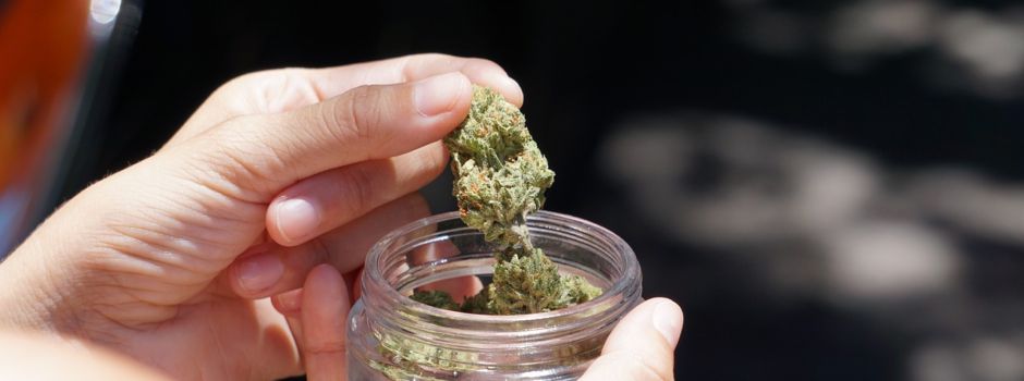 Ein Jahr Cannabis-Legalisierung: Das hat sich in Rheinland-Pfalz verändert