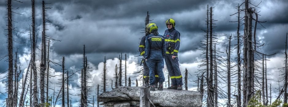Personensuche im Bereich Neuendorf – Umfangreicher Feuerwehreinsatz am 01.06.2026