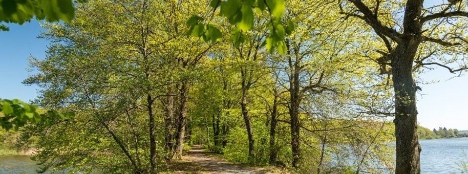 Die Westerwälder Seenplatte im Zuge der Jahreszeiten