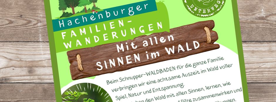 Mit allen SINNEN im WALD