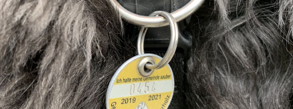 Hundebestandsaufnahme der Gemeinde