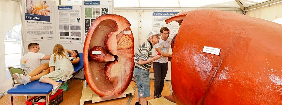 Wissenschaft zum Anfassen: Der Mainzer Wissenschaftsmarkt lädt am 13. und 14. September wieder ein