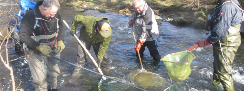 Die „Fischflüsterer“ - Vortrag über 25 Jahre ARGE Nister