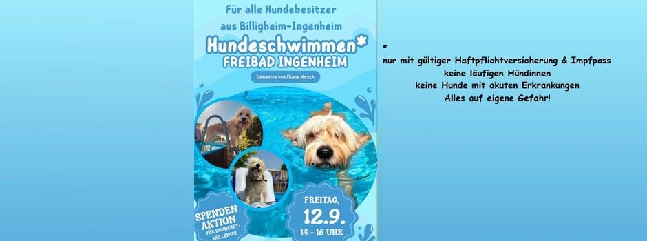 Hundeschwimmen im Freibad Billigheim-Ingenheim!