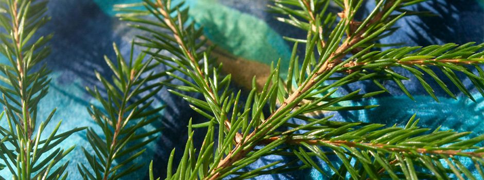 Weihnachtsbäume und Glühwein bei Familie Buhl