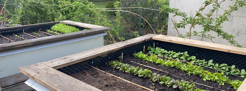 Puls!-Tipps für einen schönen Garten und Balkon