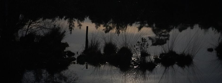 Schaurig, mystisch, spannend
