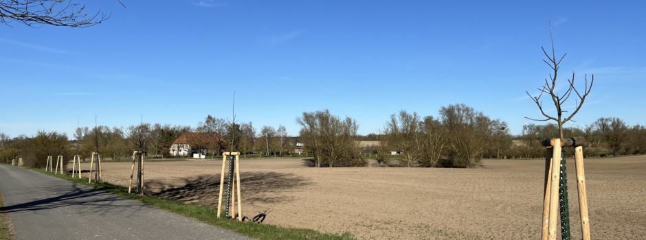 Obstbäume verschönern das Datzetal