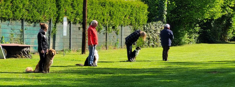 Obedience-Prüfung beim VSG Ravolzhausen