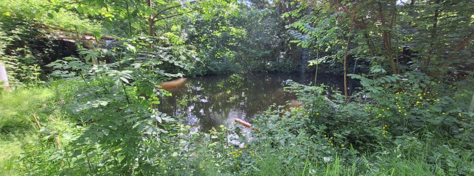 Fischteiche zu verpachten