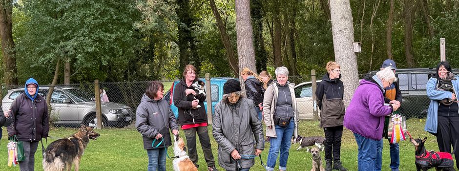 VSG Ravolzhausen: Pfoten ans Gaspedal! 🐾🏎️💨