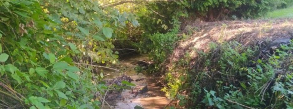 Hochwasserschutzmaßnahme