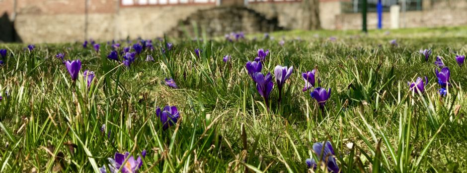 „Grillen & Chillen“ - Wo geht das?