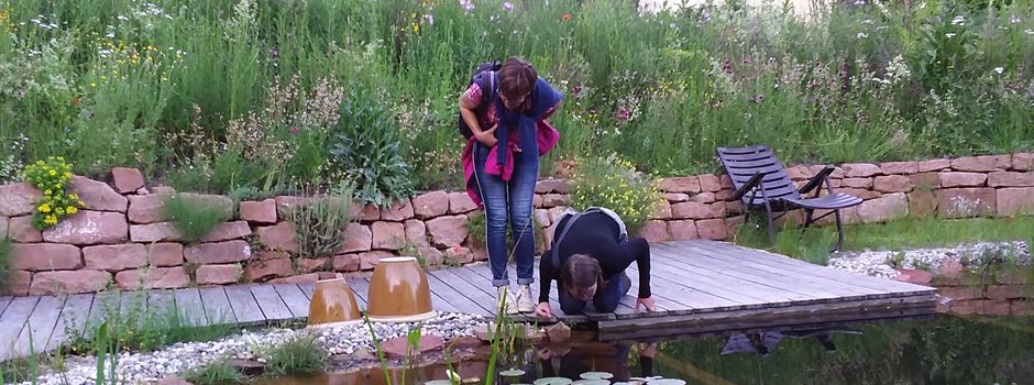 Ausstellung „Naturgarten entdecken“