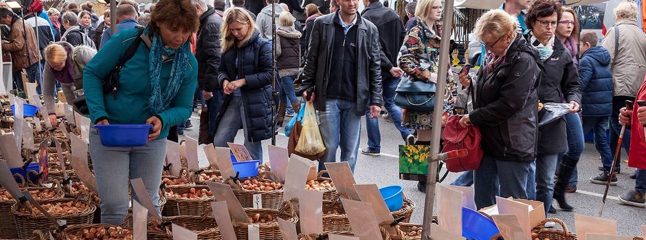 Katharinenmarkt 2022
