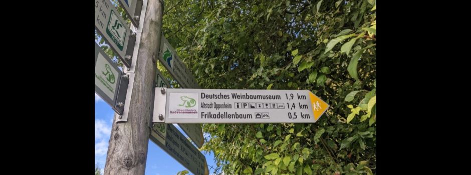 Was es mit dem Oppenheimer Frikadellenbaum auf sich hat