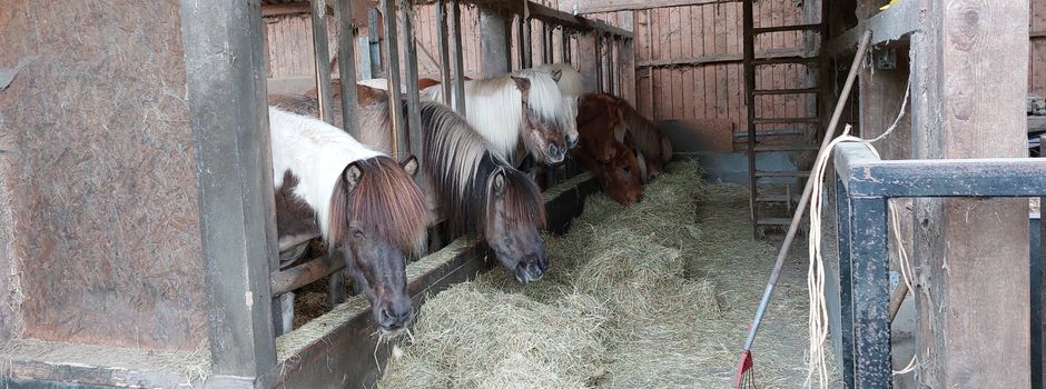 „Da staunst du aber!“