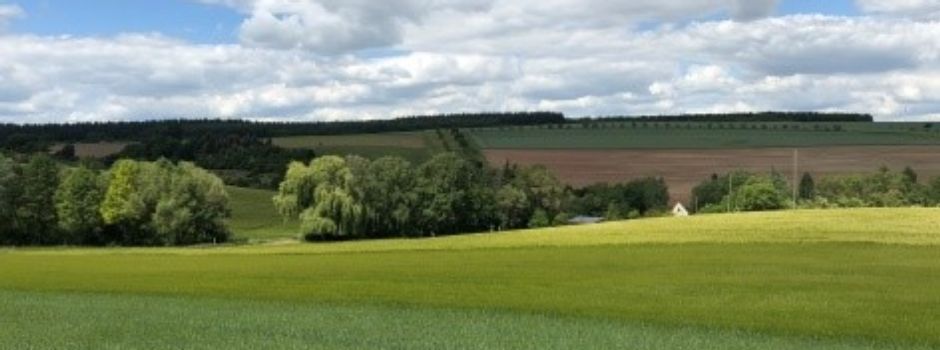 Morschheim ökologischer gestalten - aber wie?