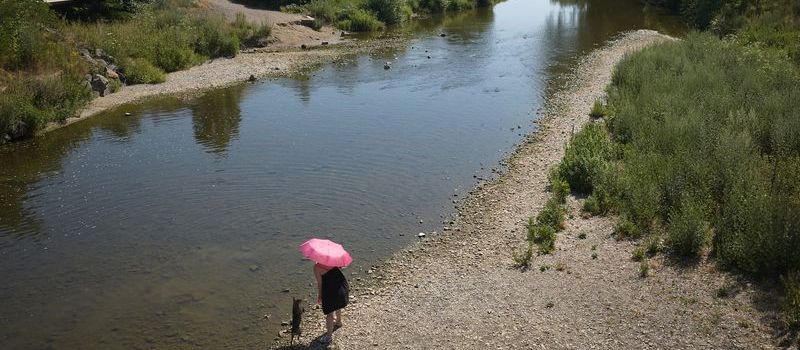 Wärmster Juni in Rheinland-Pfalz seit Aufzeichnungsbeginn