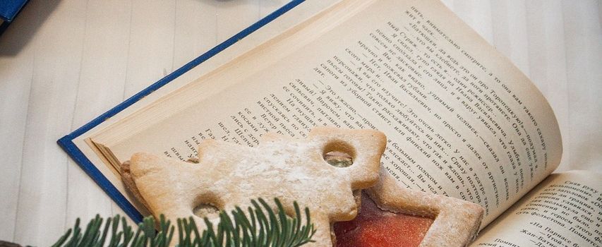 Weihnachtsbuchausstellung in Ilbenstadt