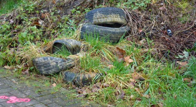Niersteiner Dreck-weg-Tag am Samstag den 24. März