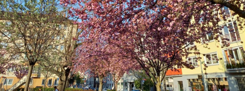 So wird das Wetter in den nächsten Tagen