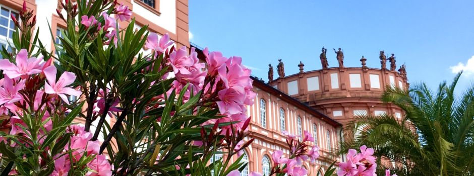 Flohmarkt am Biebricher Schloss steht in Startlöchern